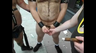 Bear's Public Cum Show