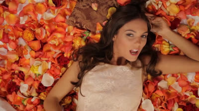 Sophie Erben - Ein Meer aus tausend Rosen with Andi Rose PMV by IEDIT