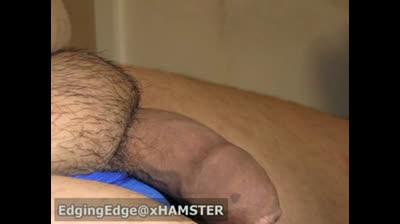 Fat Asian Bear's Erection