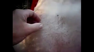 Beach Blowjob Adventure