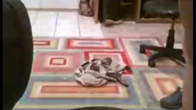 Fat Daddy Strips and Strokes on Webcam