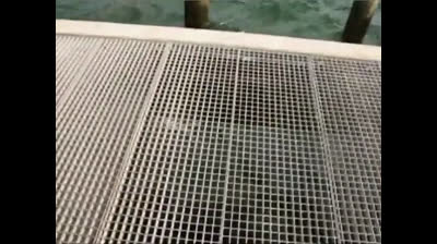 Deutscher Amateur mit großen Titten gibt einen Blowjob auf einem Pier