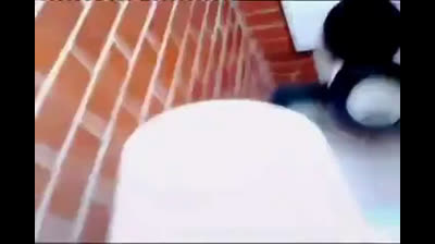 Amateur Bear Daddy Returns