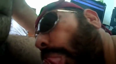 Rio de Janeiro Bull Sucking the Machos Off