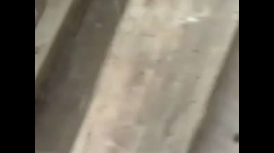 Bearded Frenchman Plows Arab Outdoors